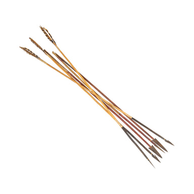 Six Northern Plans Arrows, Native, Weapon, Arrow