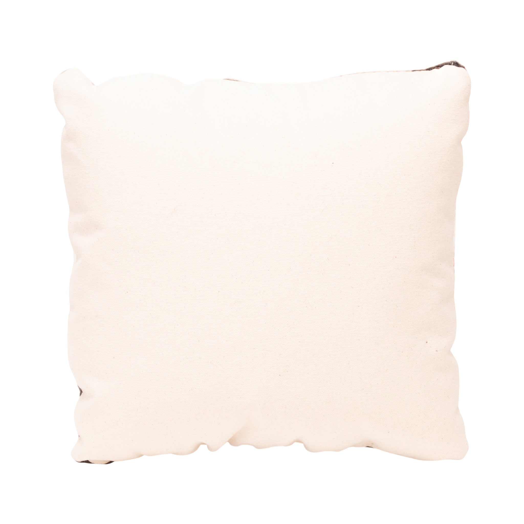 Native Lodge Pillow