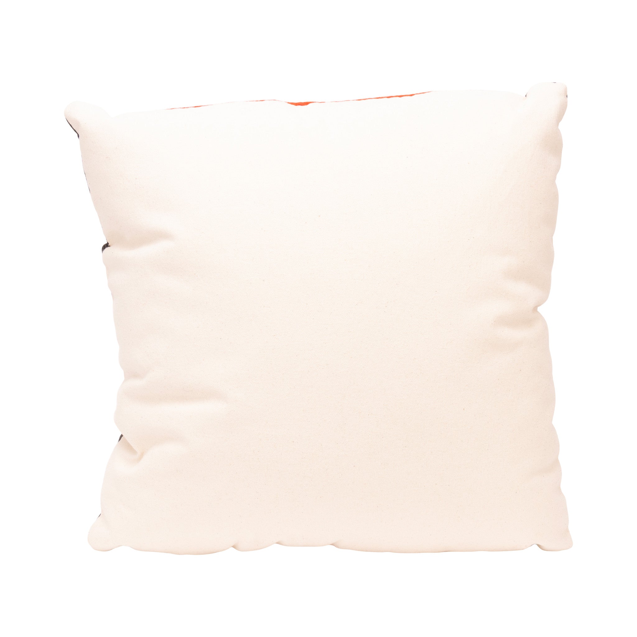 Native Lodge Pillow