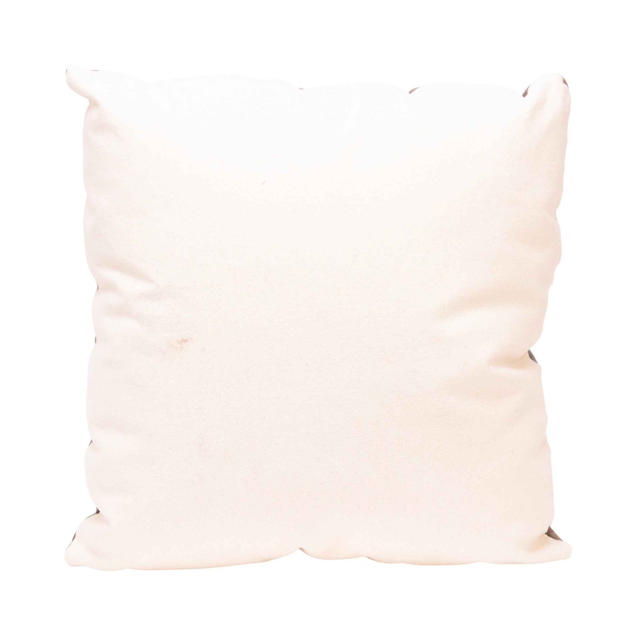 Native Lodge Pillow