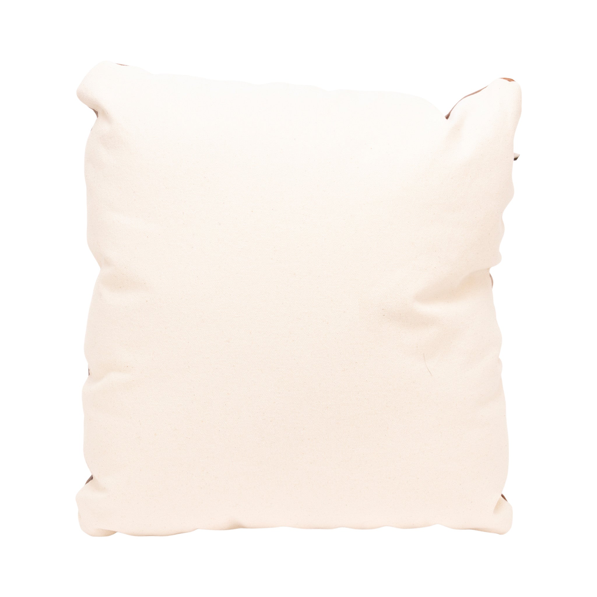 Native Lodge Pillow