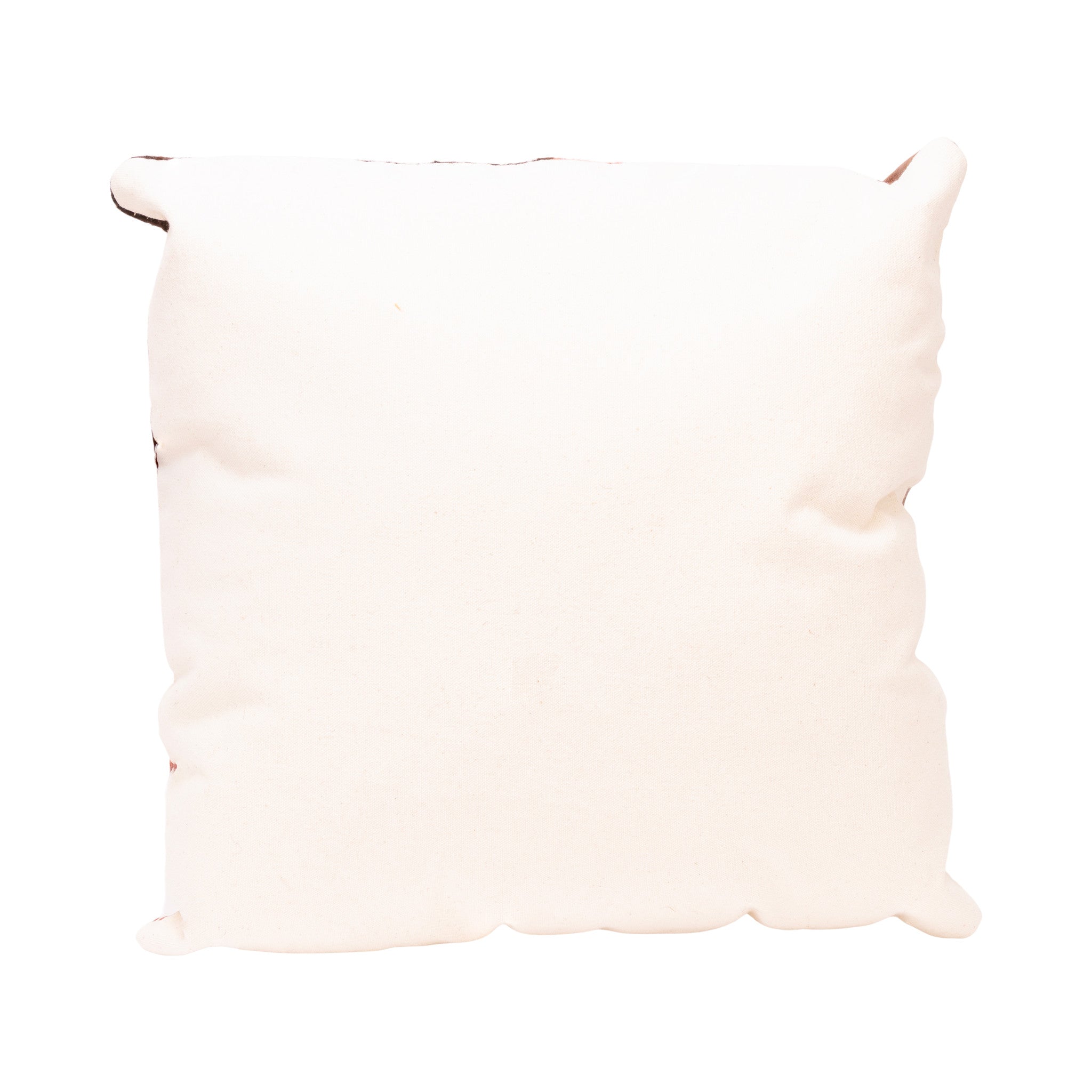 Native Lodge Pillow