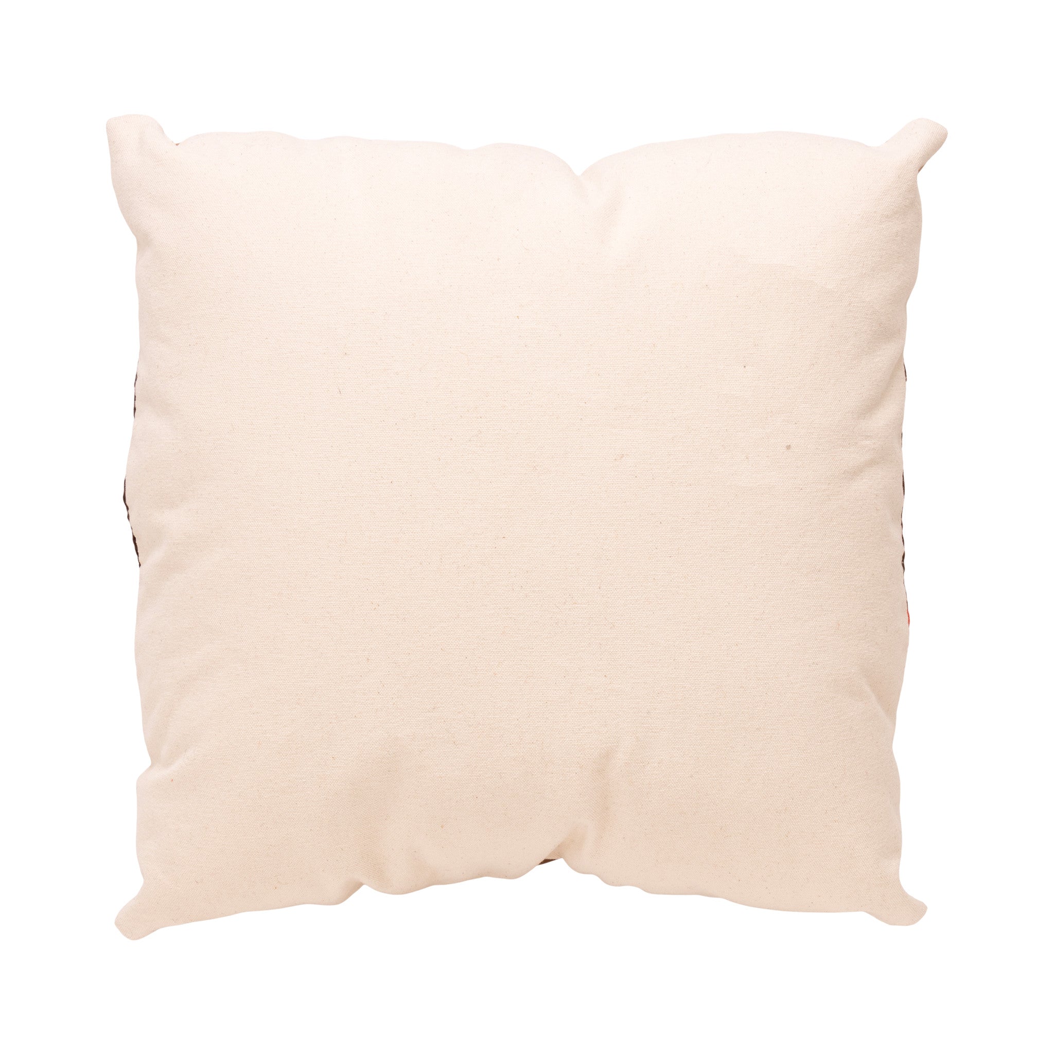 Native Lodge Pillow