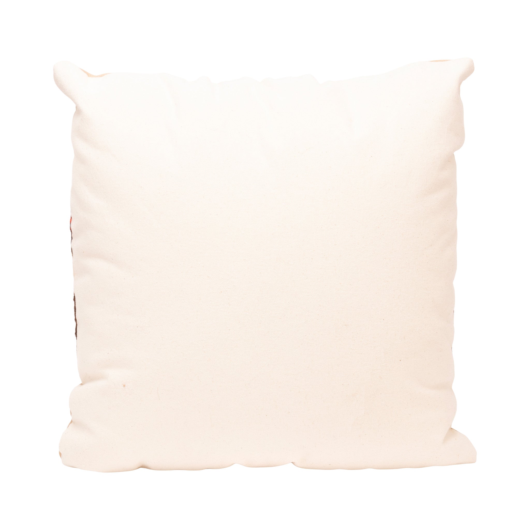 Native Lodge Pillow