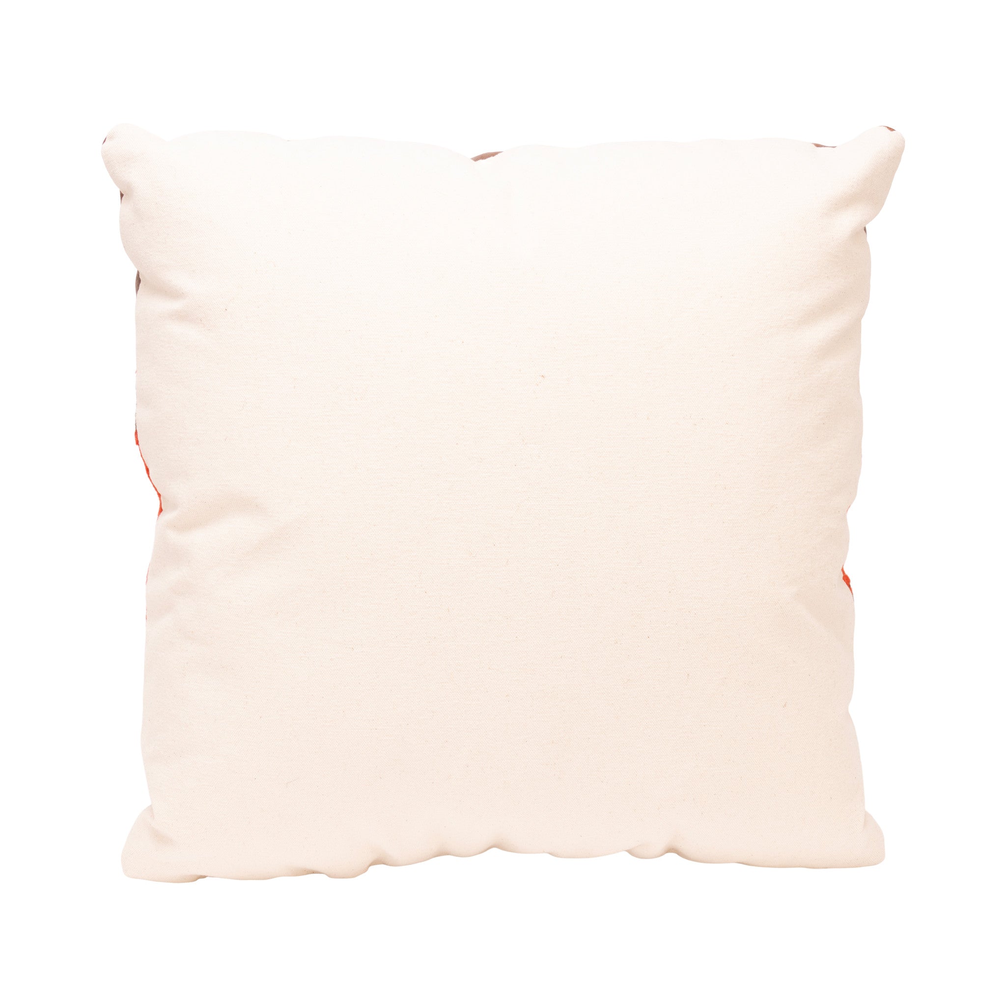 Native Lodge Pillow
