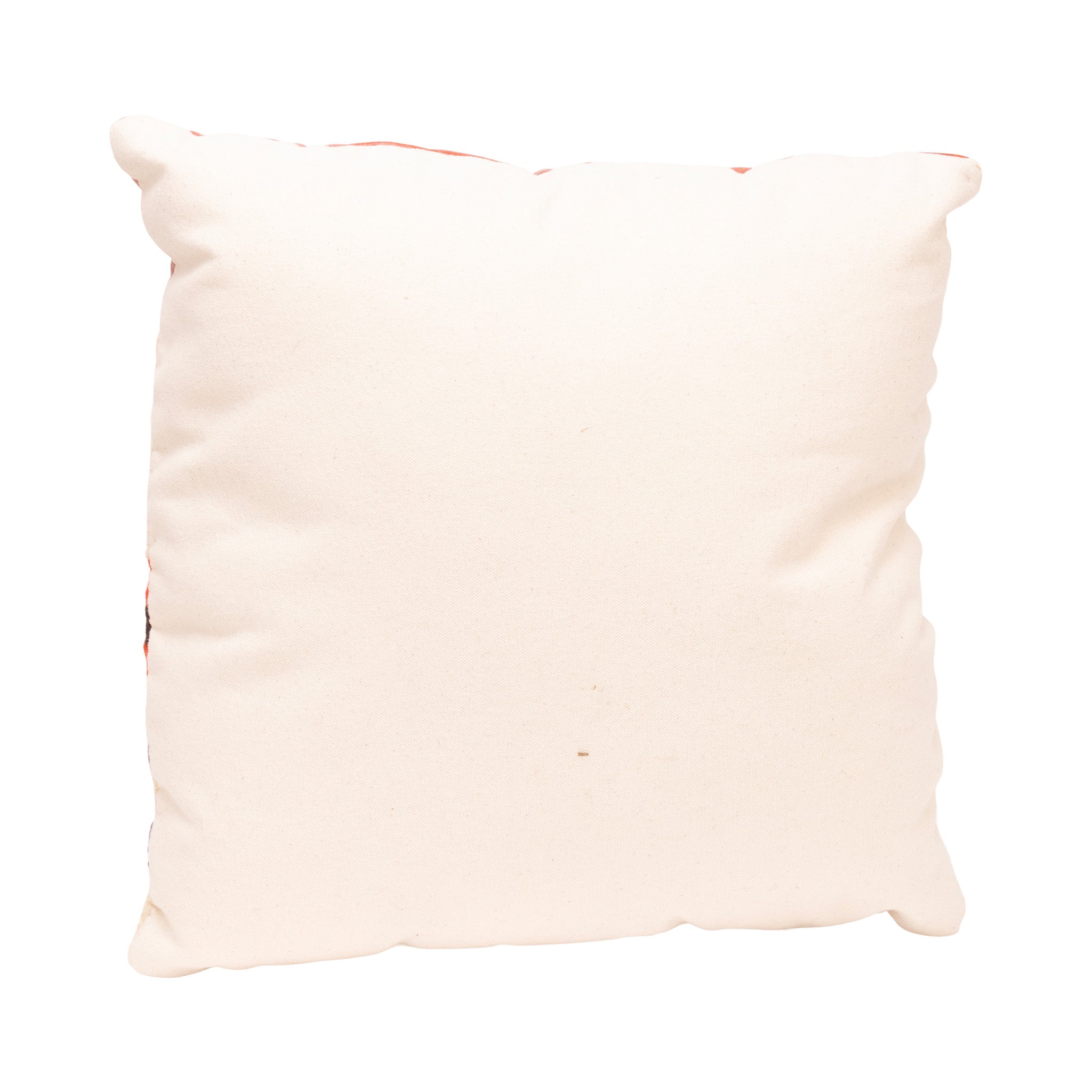 Native Lodge Pillow