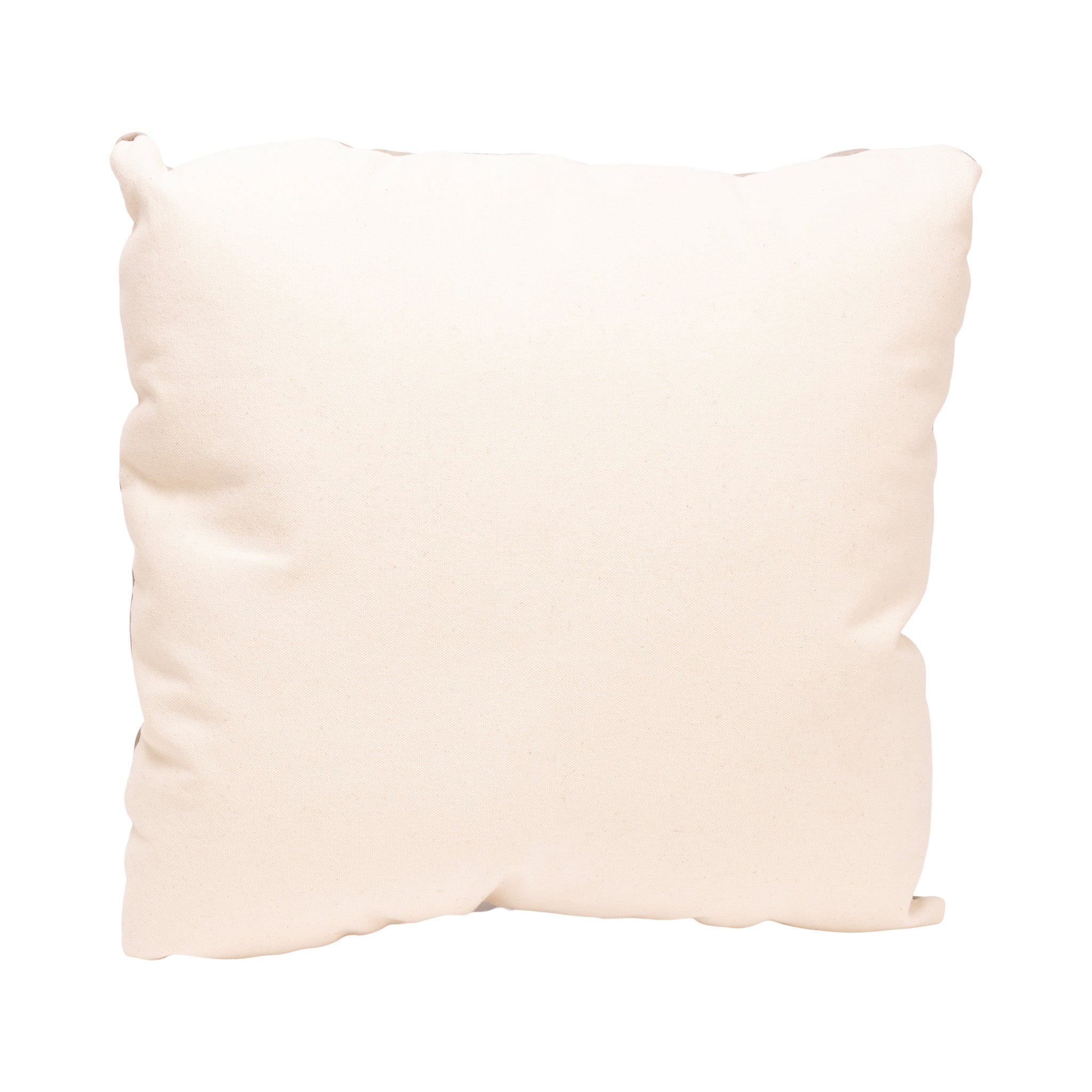 Native Lodge Pillow