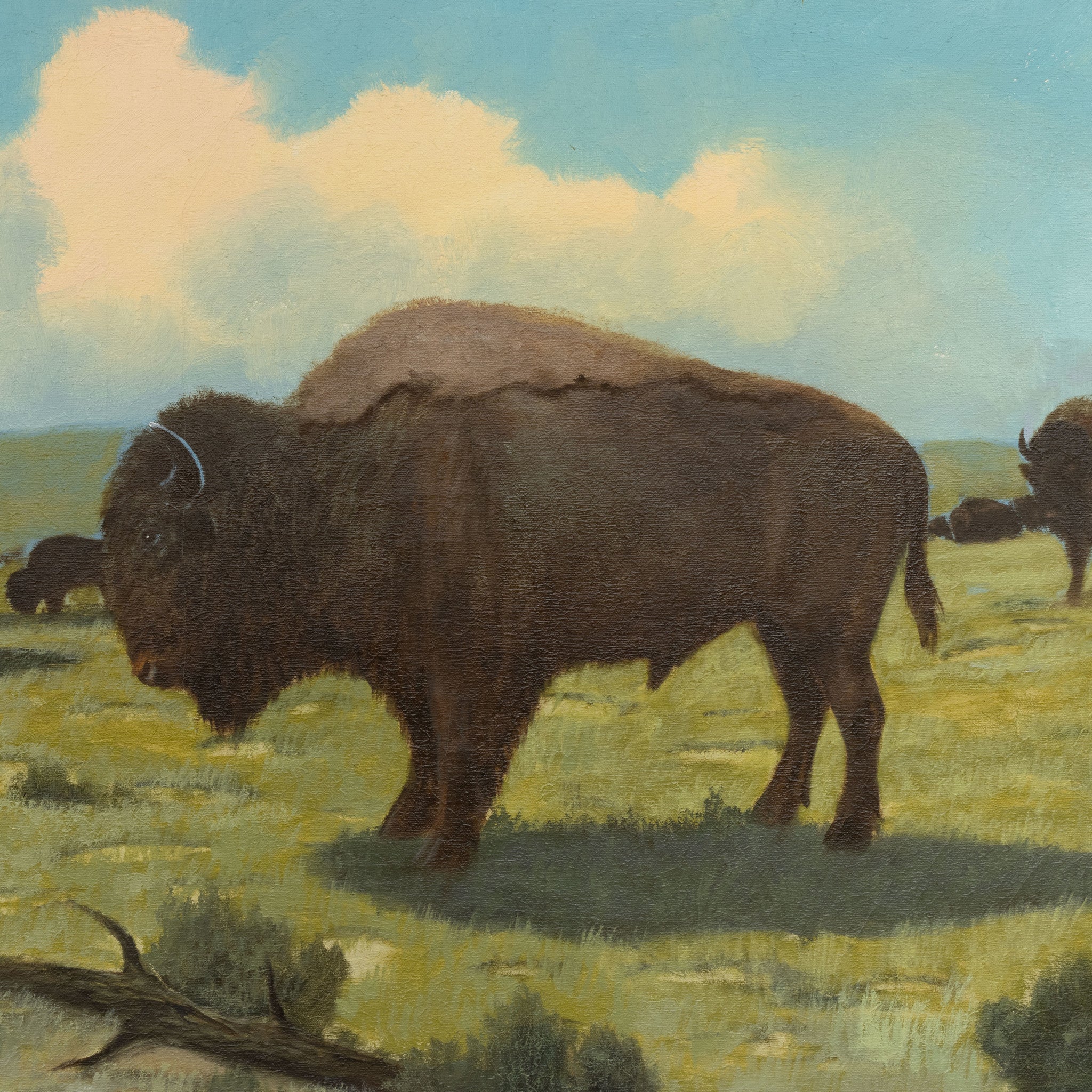 "A Great Herd Graze" by Charles Damrow