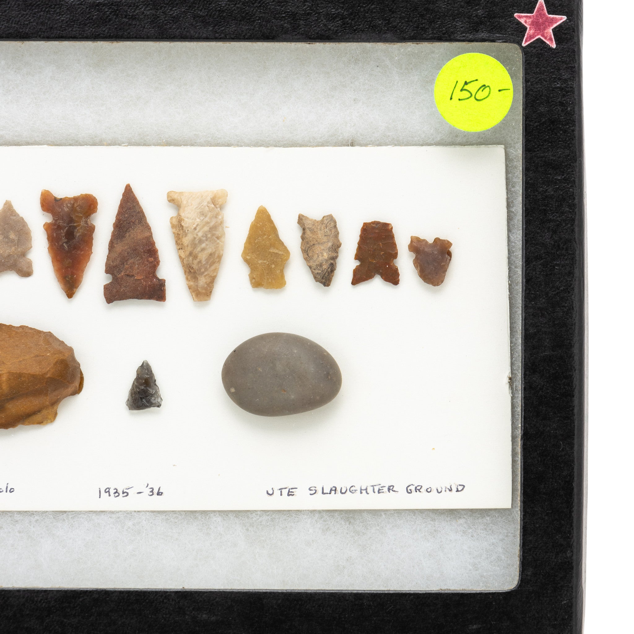 Prehistoric Colorado Collection