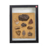 Prehistoric Colorado Points, Native, Stone and Tools, Arrowhead