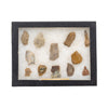 Prehistoric Colorado Collection, Native, Stone and Tools, Arrowhead