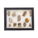 Prehistoric Colorado Collection, Native, Stone and Tools, Arrowhead