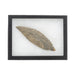 Prehistoric Turkey Tail Fulton Blade, Native, Stone and Tools, Blade