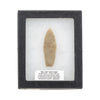 Plains Paleo Hell Gap Point, Native, Stone and Tools, Blade