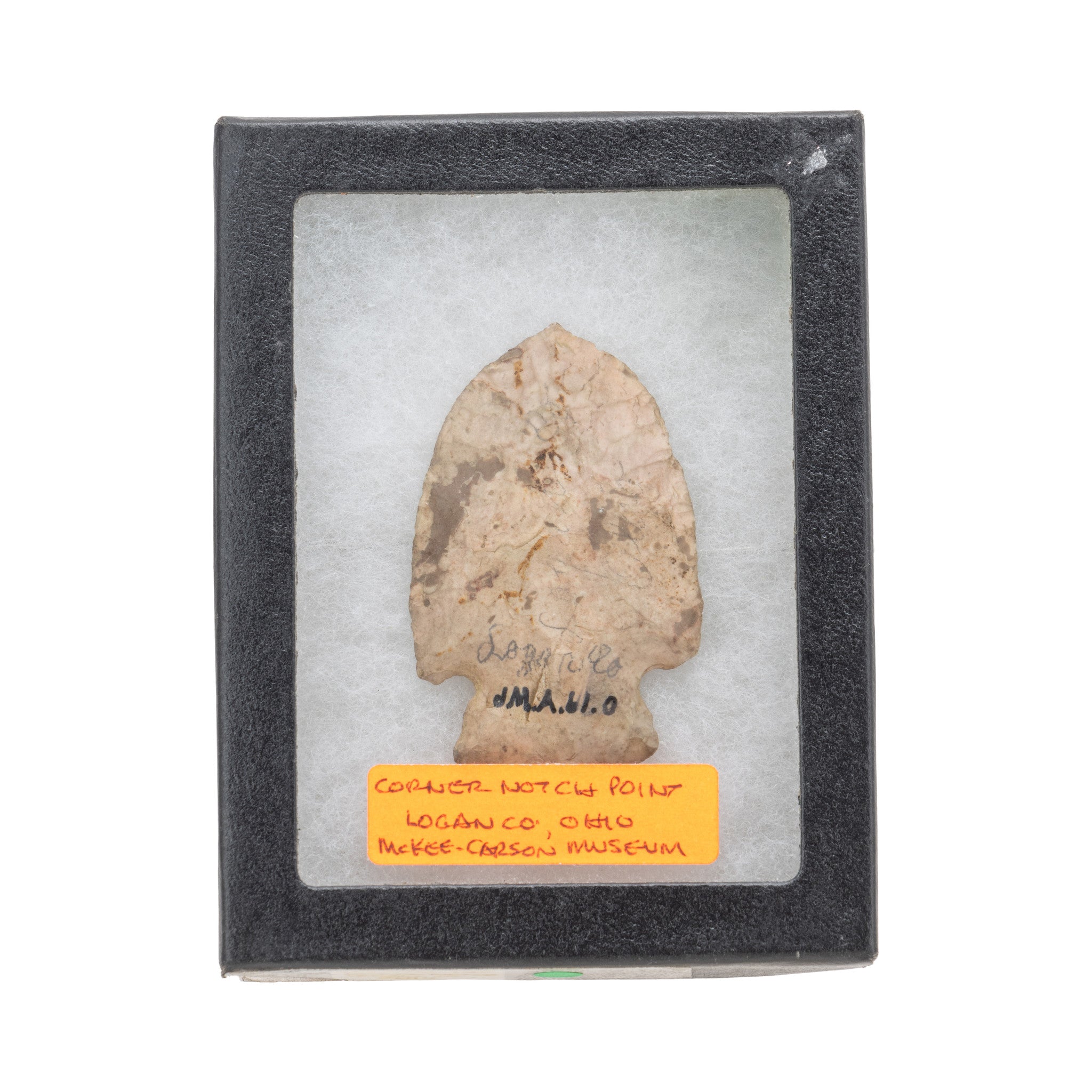 Prehistoric Woodland Point