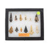 Collection of Bird Points