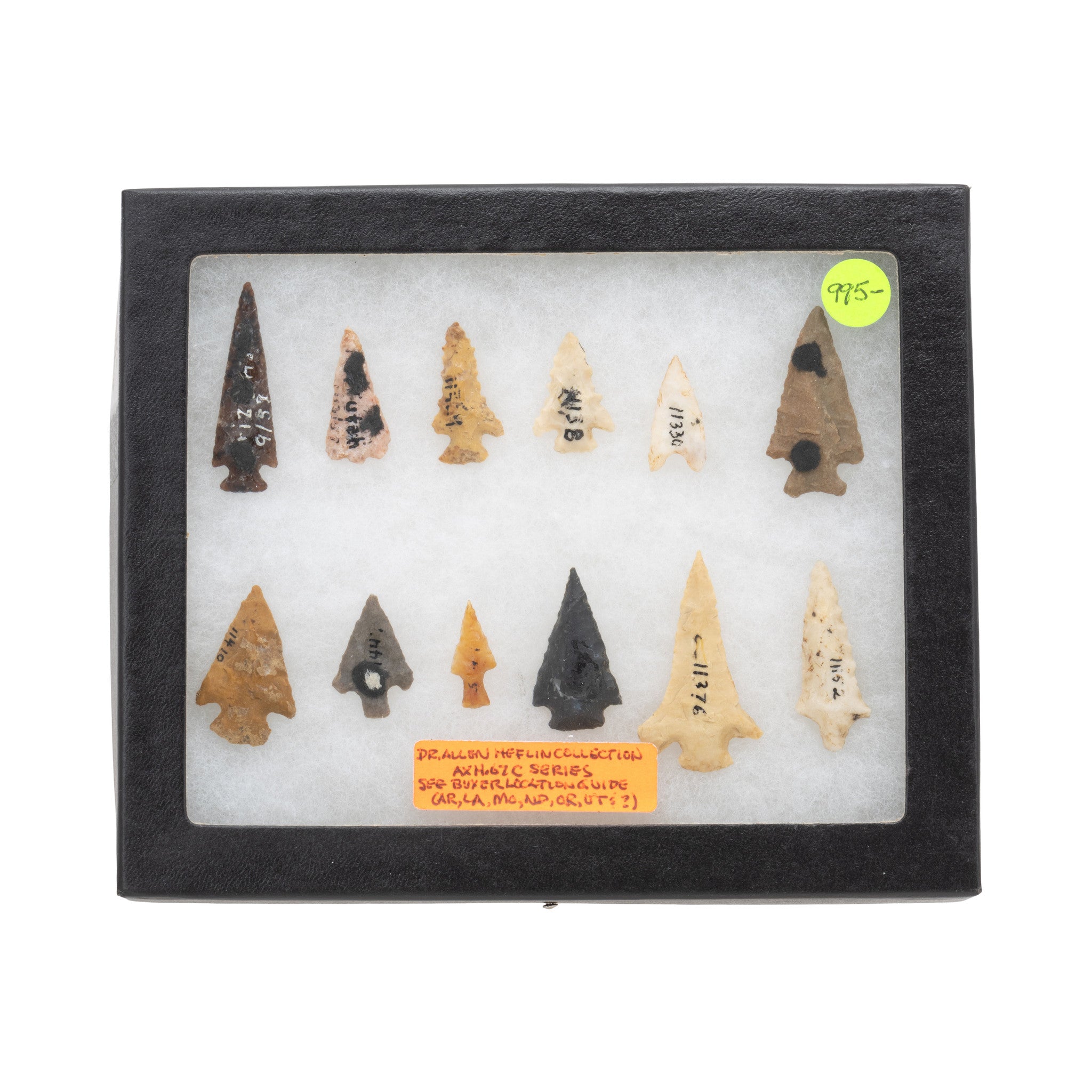 Collection of Bird Points