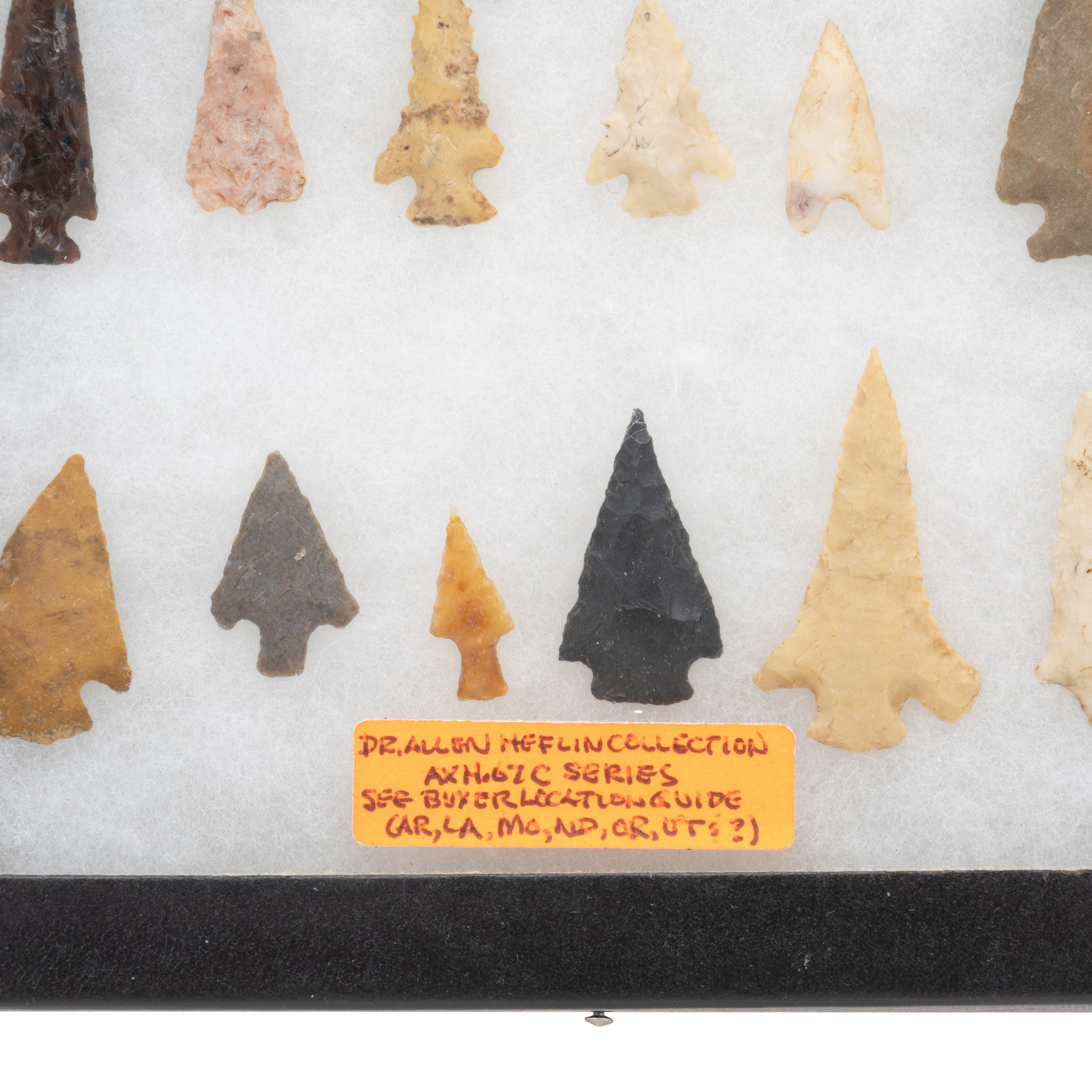 Collection of Bird Points