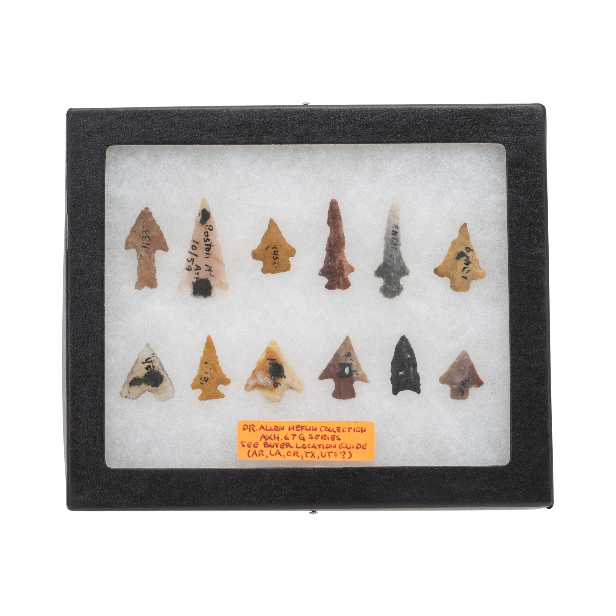 Prehistoric Bird Points