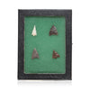 Bird Points, Native, Stone and Tools, Arrowhead