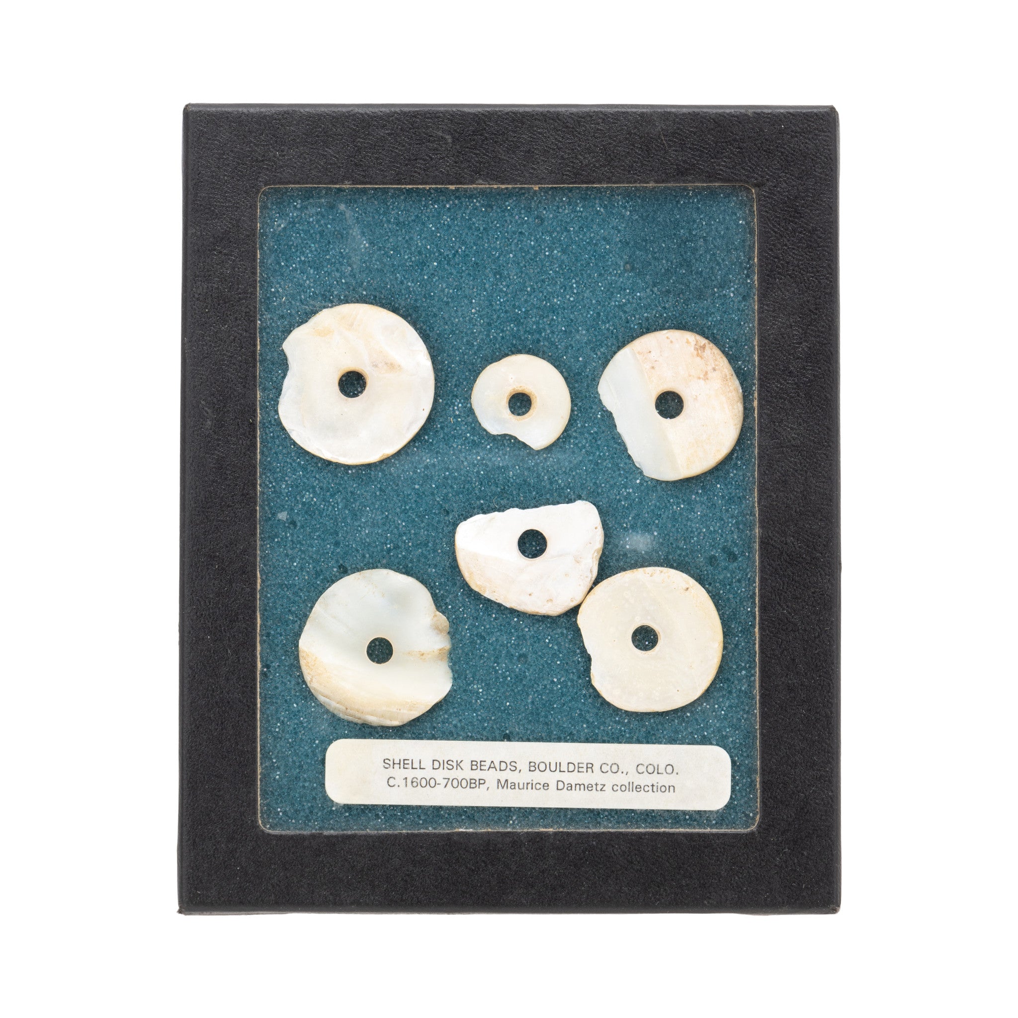 Prehistoric Shell Disc Beads, Native, Stone and Tools, Other