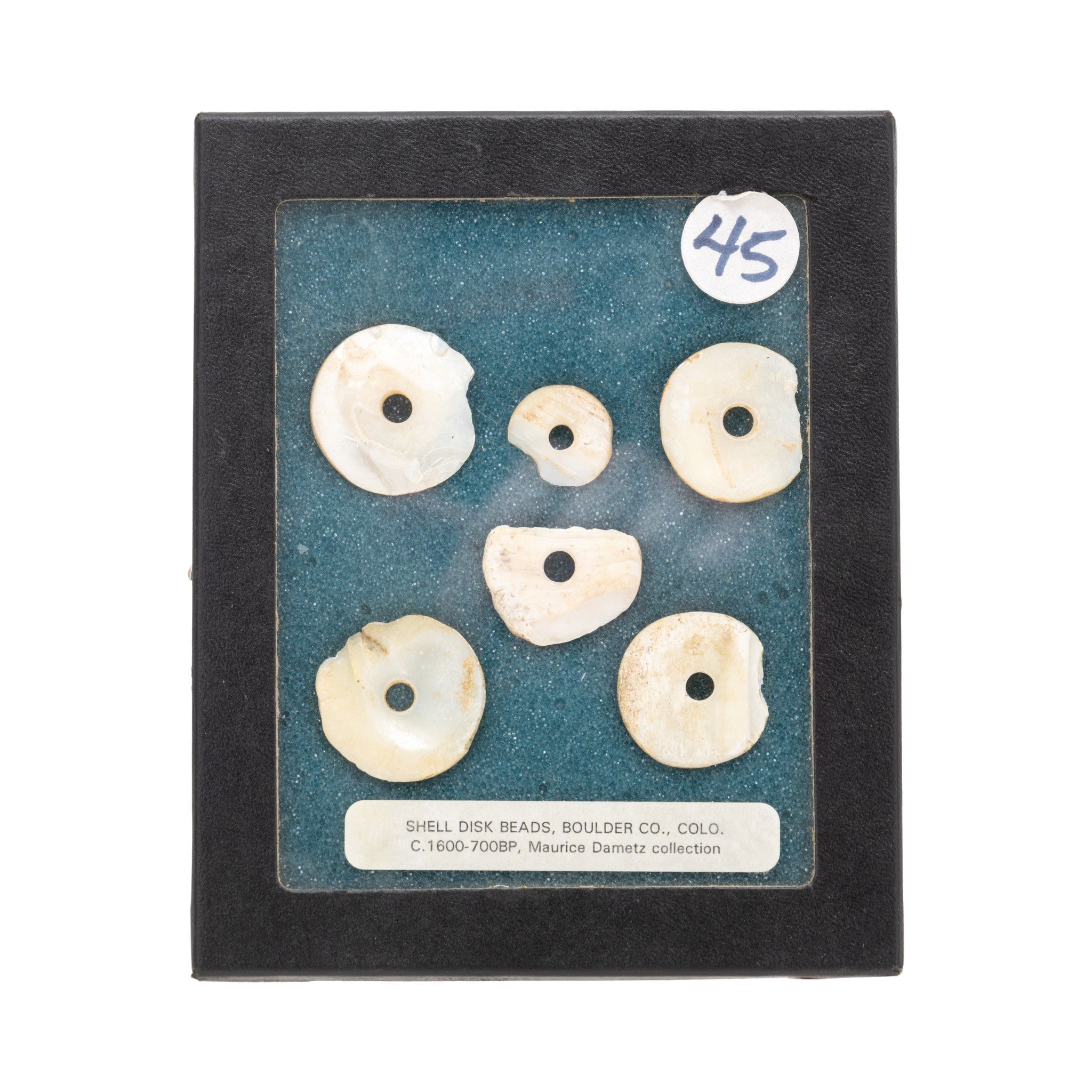 Prehistoric Shell Disc Beads