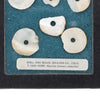 Prehistoric Shell Disc Beads