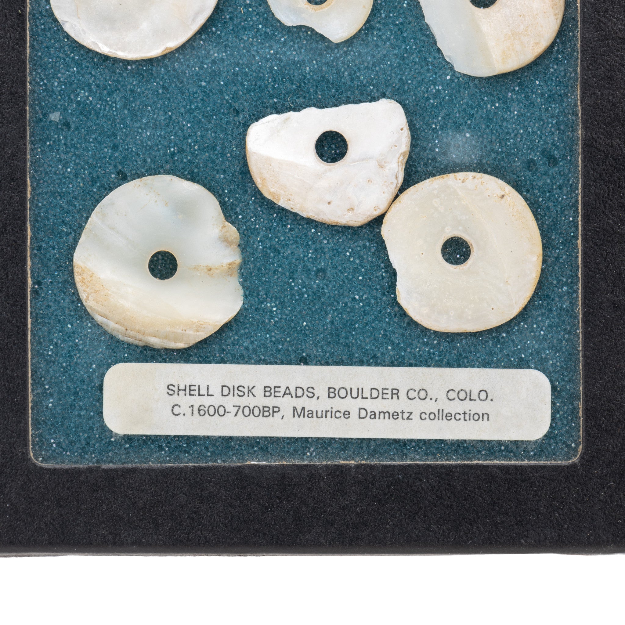 Prehistoric Shell Disc Beads