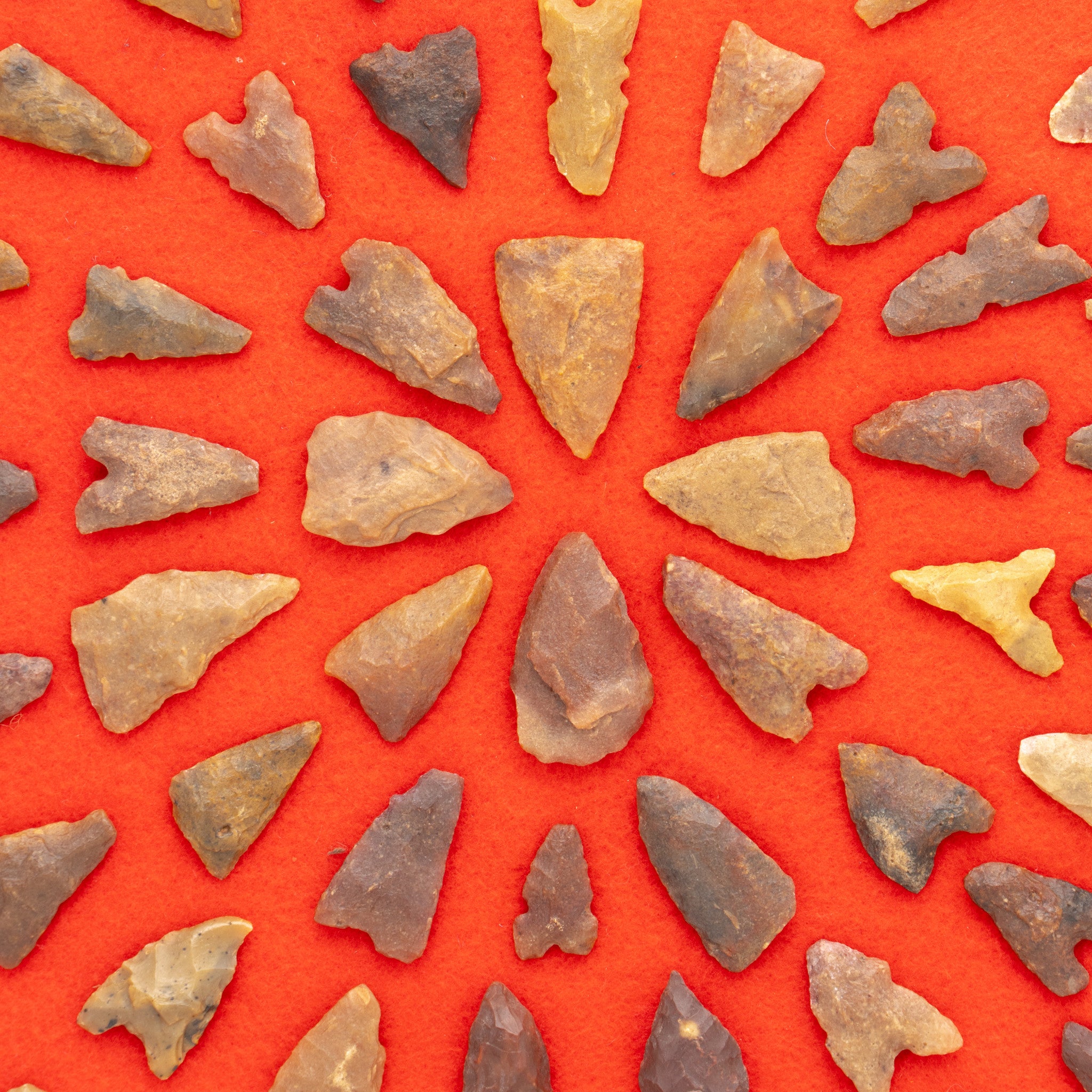 Framed Arizona Arrowheads