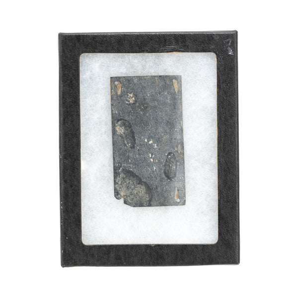 Prehistoric Slate Plaque, Native, Pottery, Prehistoric