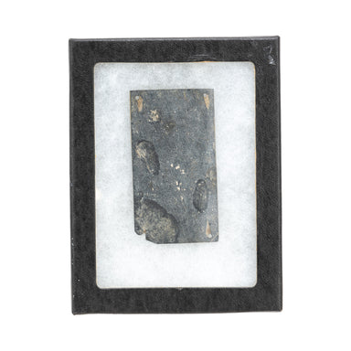 Prehistoric Slate Plaque, Native, Pottery, Prehistoric