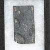 Prehistoric Slate Plaque
