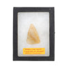 Prehistoric Triangular Point, Native, Stone and Tools, Arrowhead