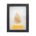 Prehistoric Triangular Point, Native, Stone and Tools, Arrowhead
