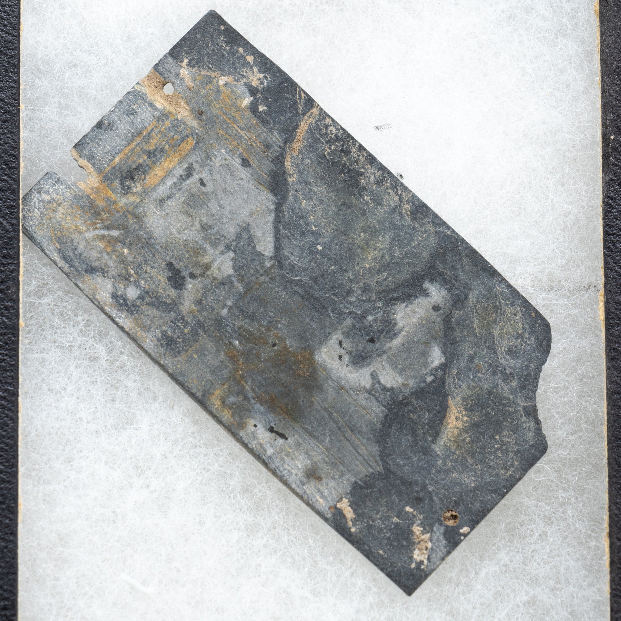 Prehistoric Slate Plaque