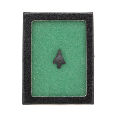 Prehistoric Snake River Point, Native, Stone and Tools, Arrowhead