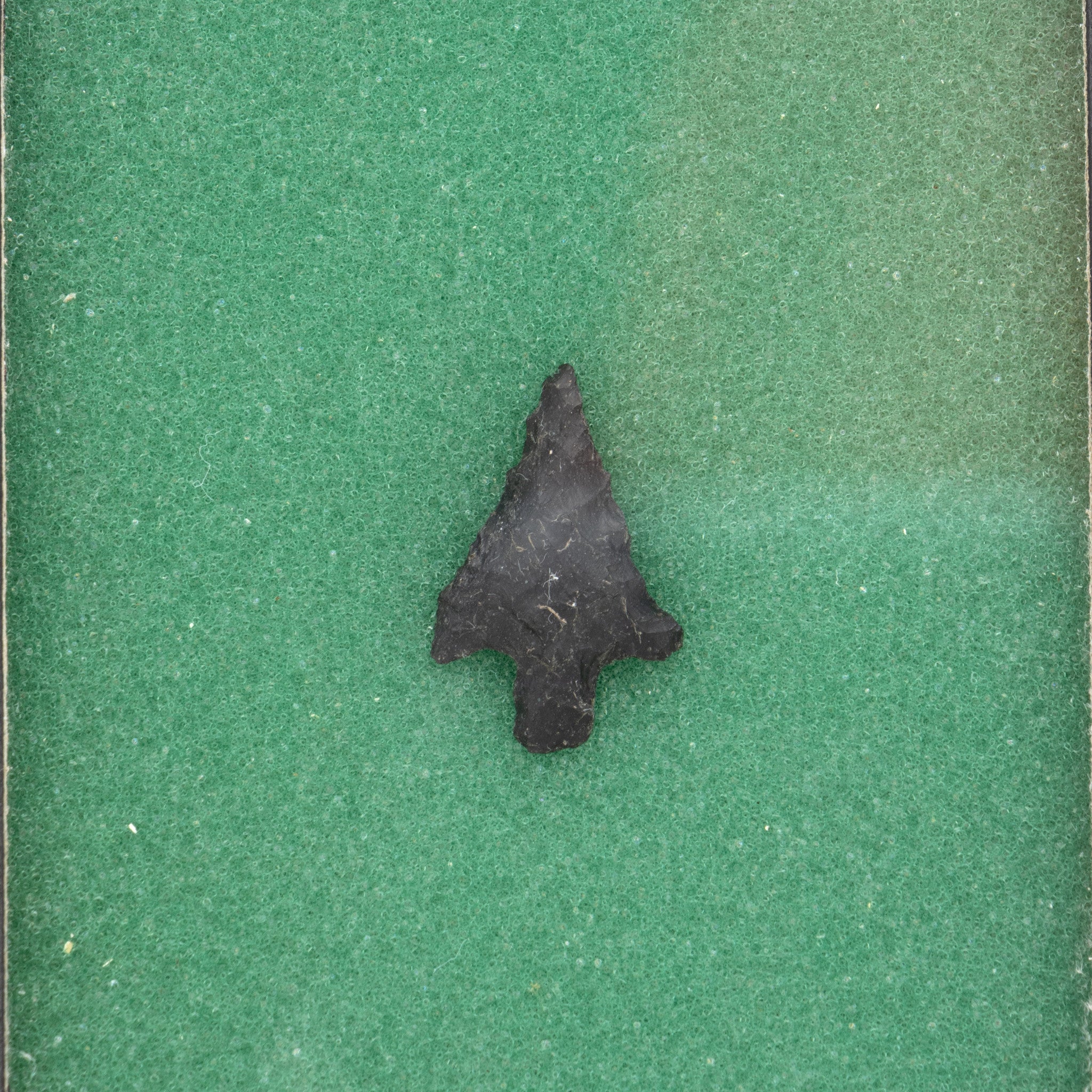 Prehistoric Snake River Point