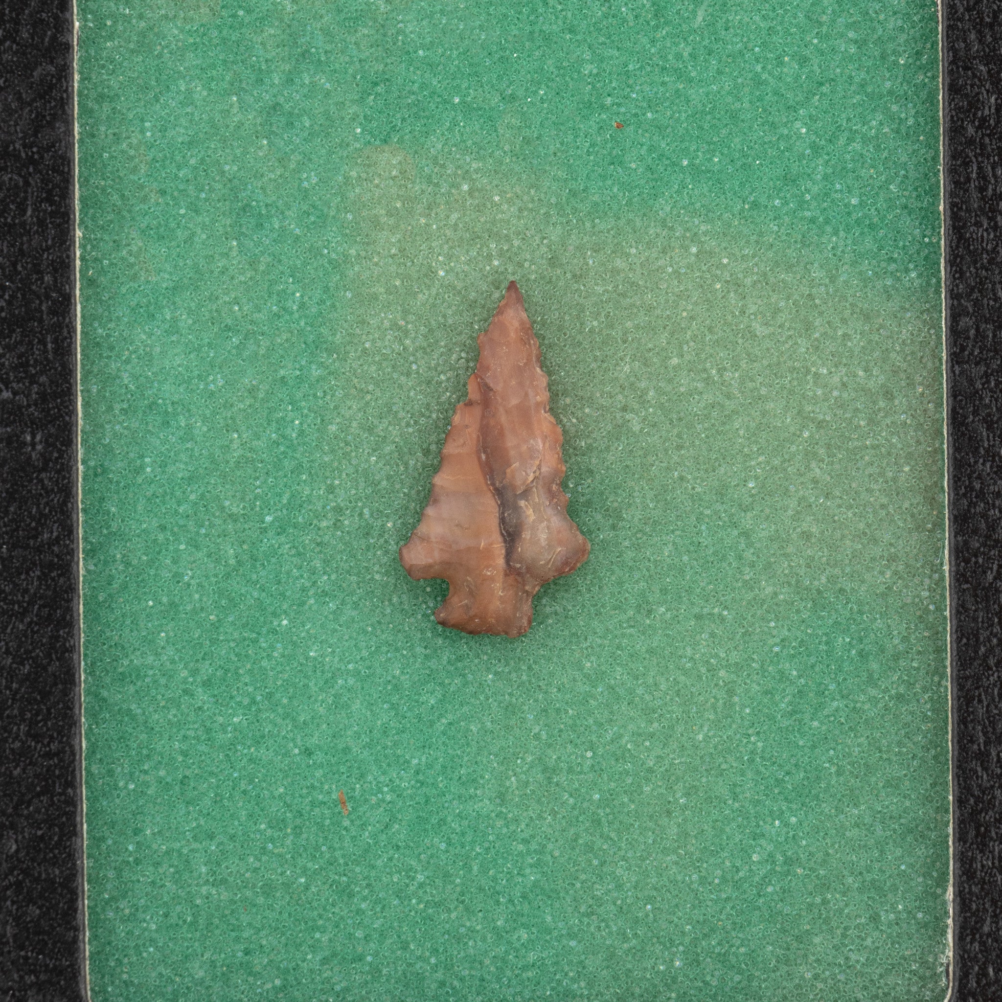 Prehistoric Louisiana Point