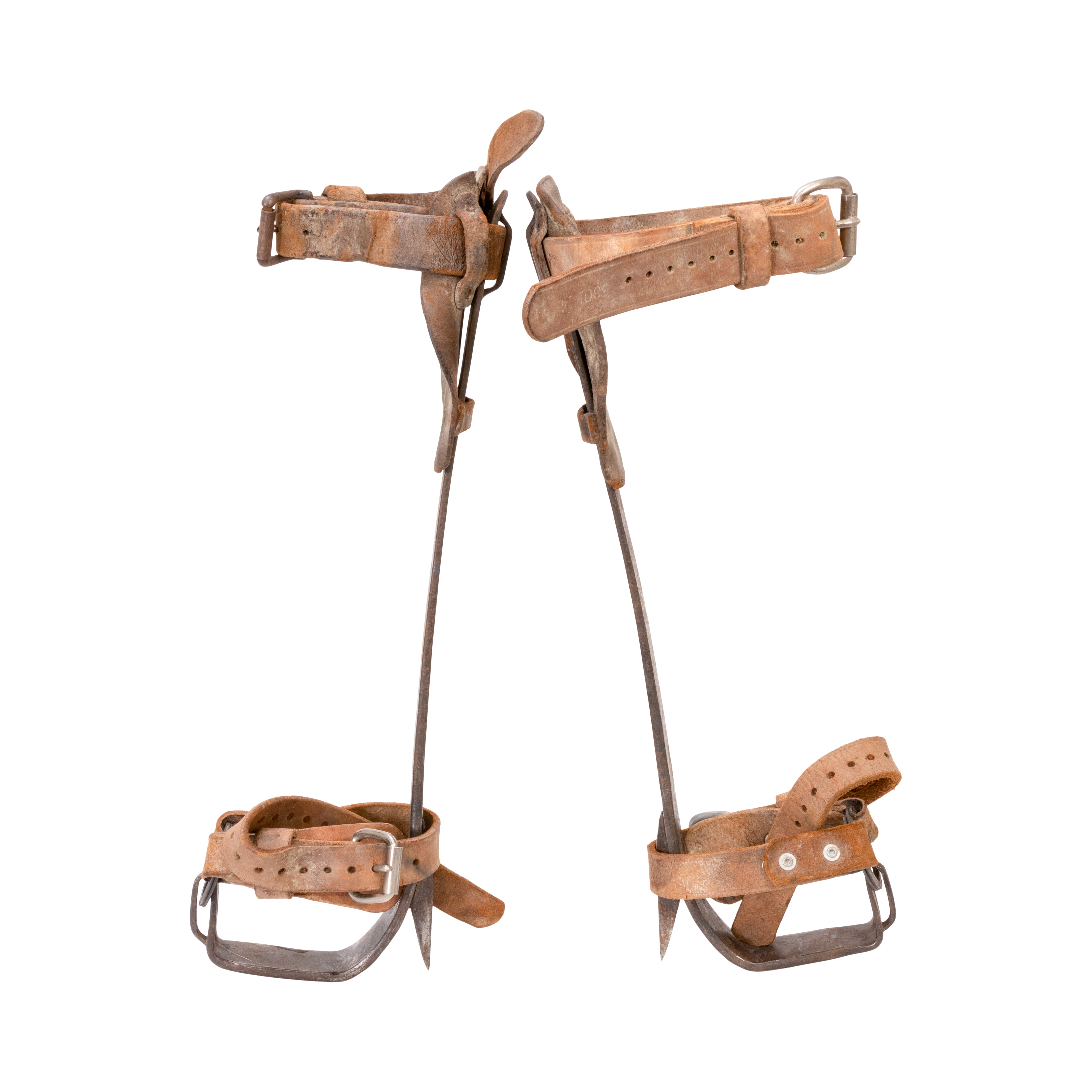 Tree Climbing Spikes, Other, Other, Other