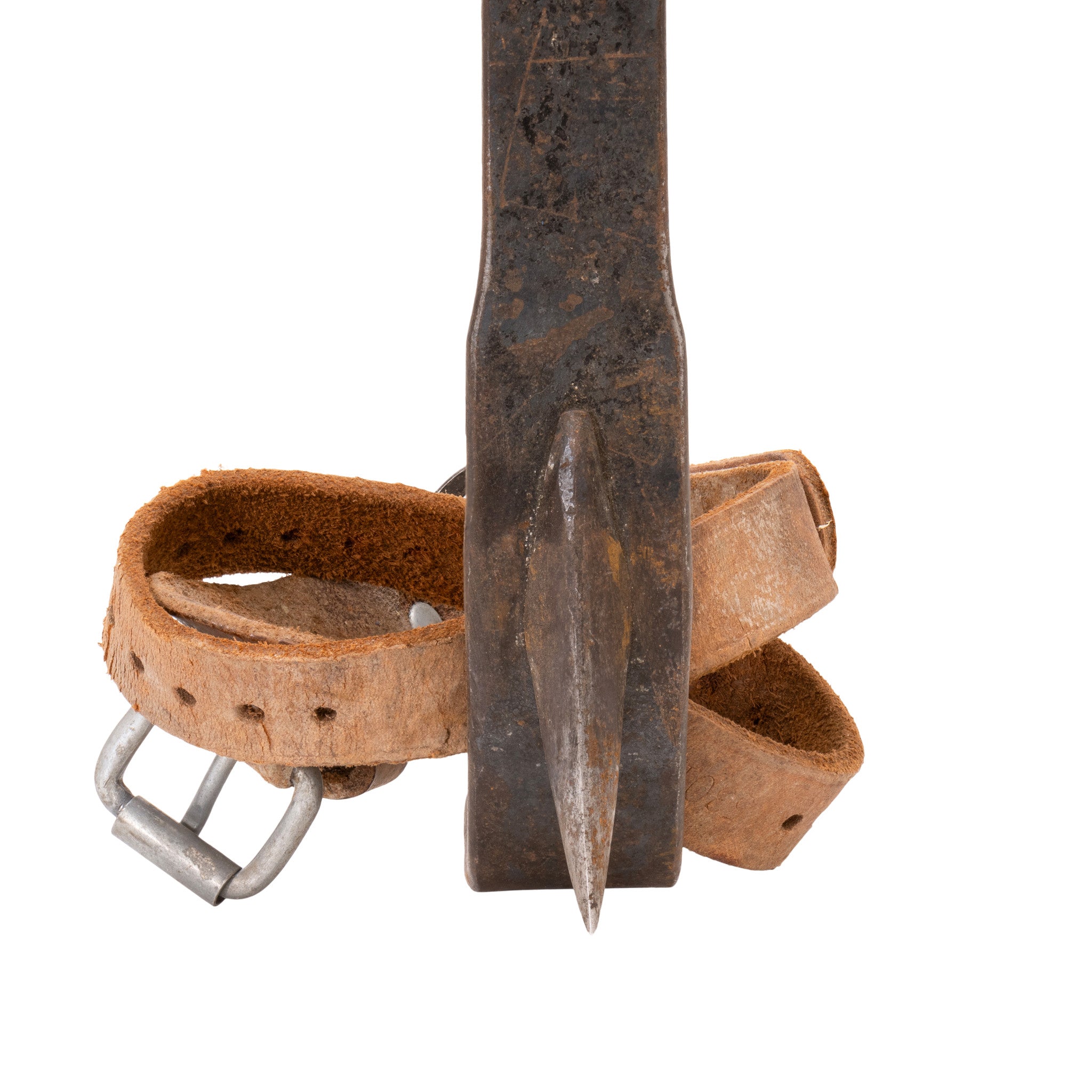 Tree Climbing Spikes