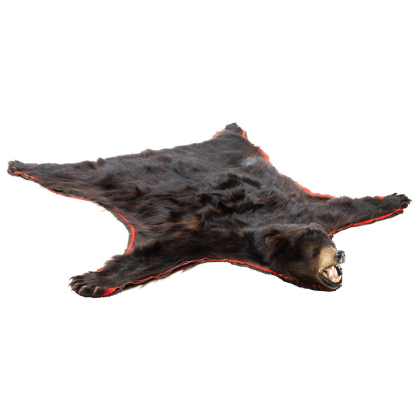 Black Bear Rug, Furnishings, Taxidermy, Bear