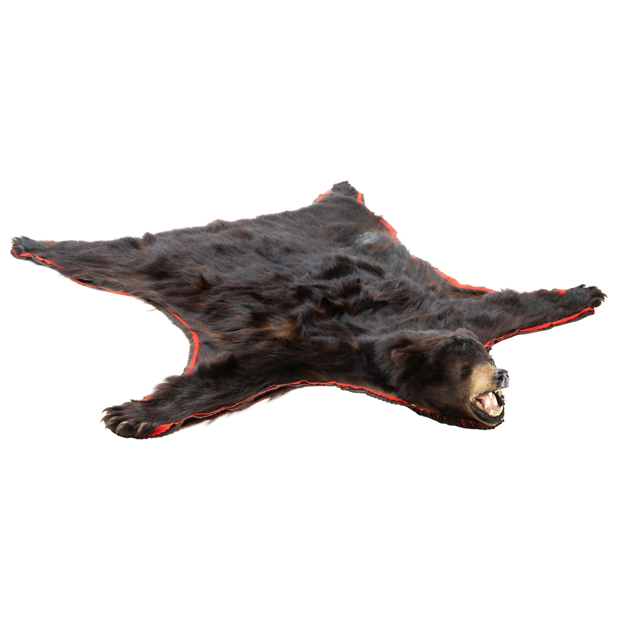 Black Bear Rug, Furnishings, Taxidermy, Bear