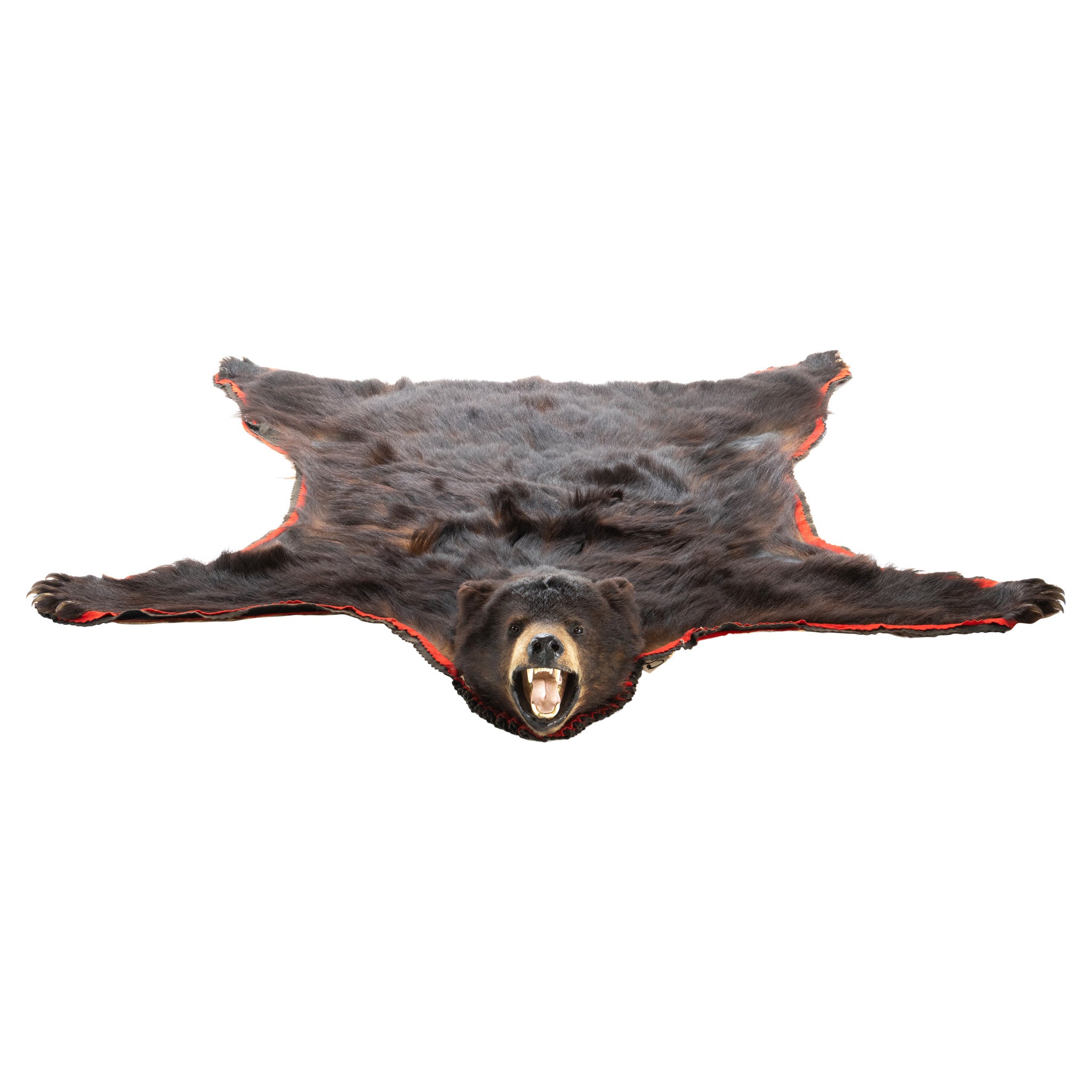 Black Bear Rug