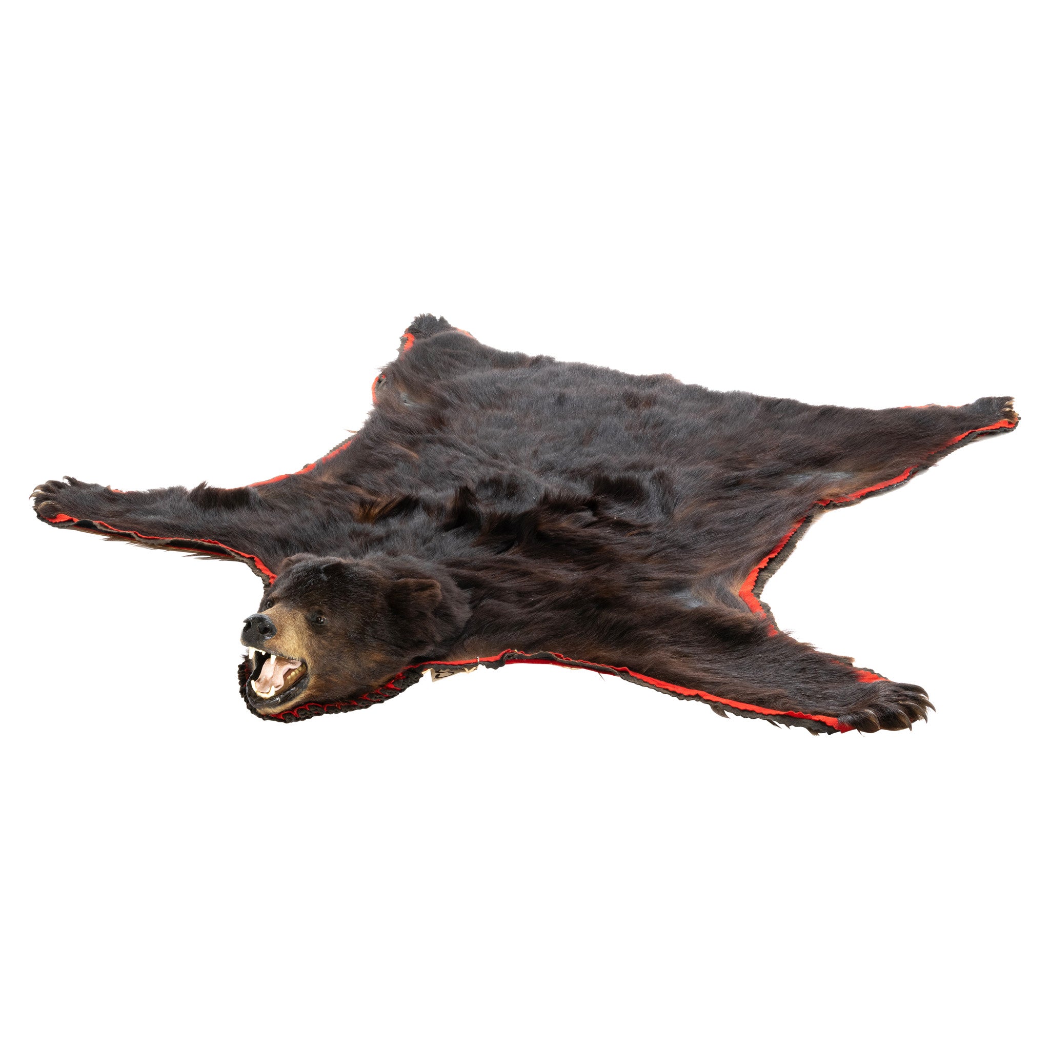 Black Bear Rug