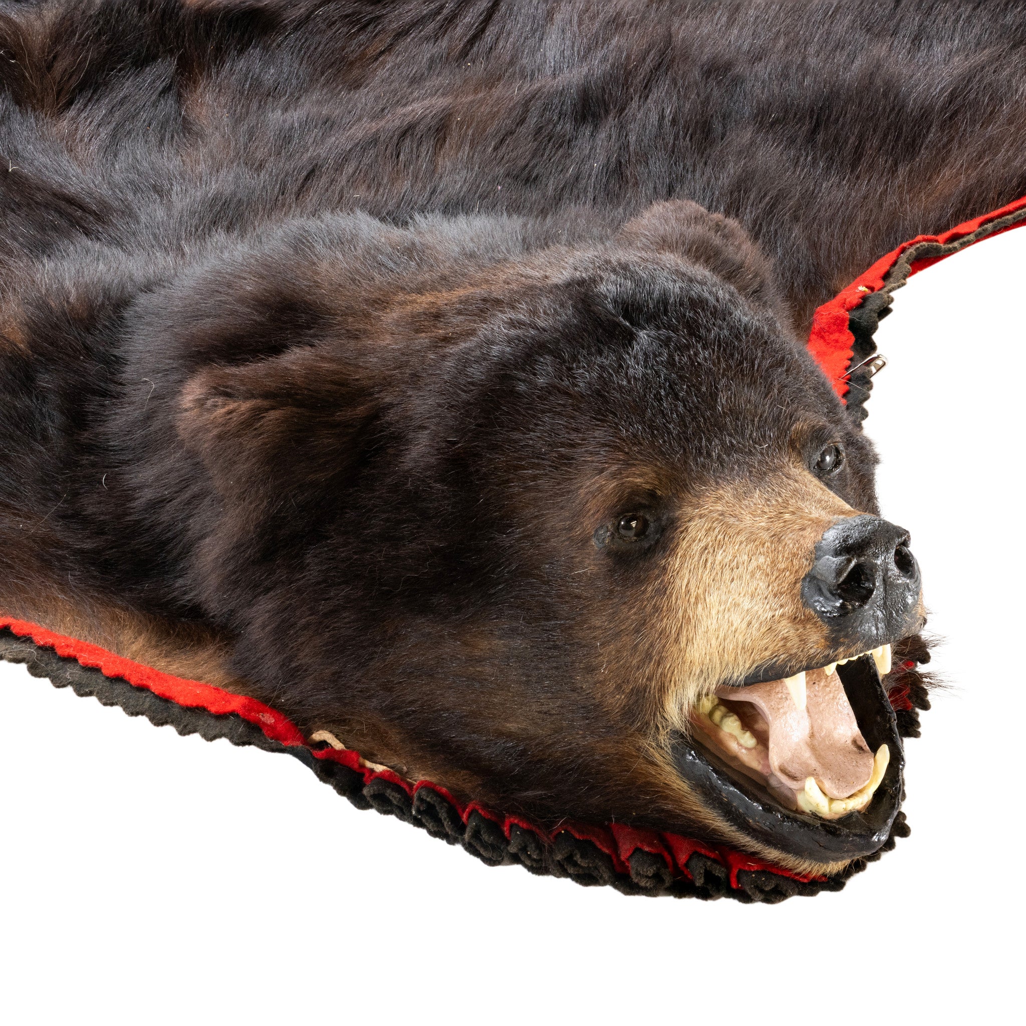 Black Bear Rug