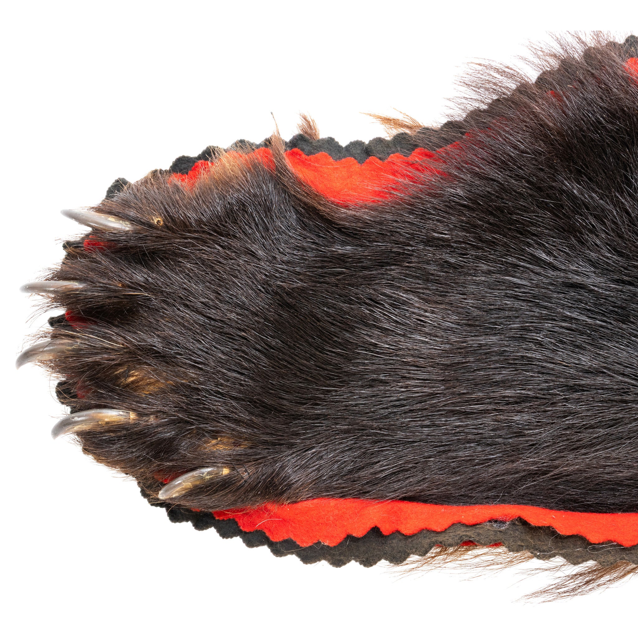 Black Bear Rug