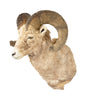 Record Book Rocky Mountain Bighorn