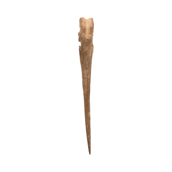 Oglala Sioux Wing Bone Awl, Native, Stone and Tools, Awl