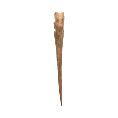 Oglala Sioux Wing Bone Awl, Native, Stone and Tools, Awl