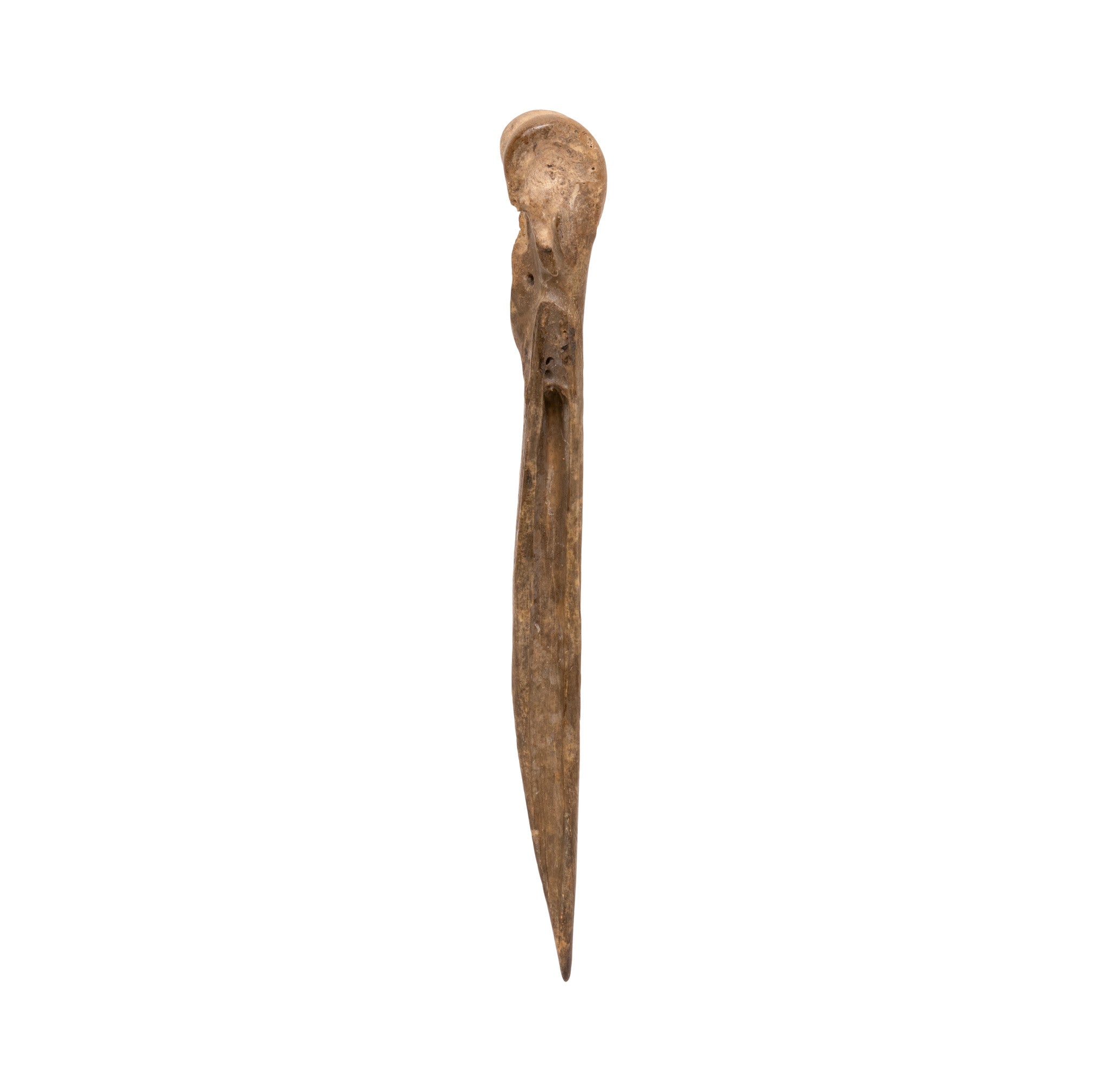Oglala Sioux Wing Bone Awl
